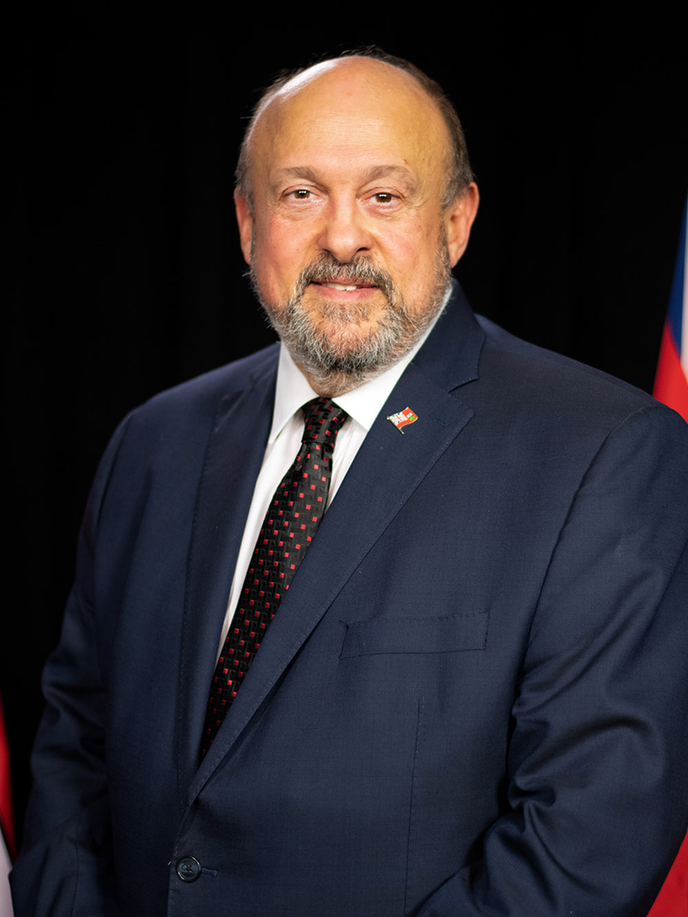 Michael Tibollo, MPP